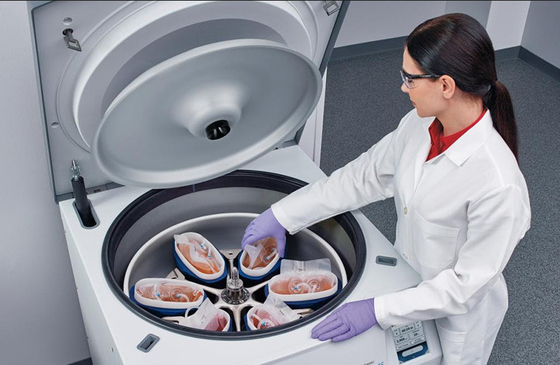 Goede prijs. CFL6R Gekoelde Zak van het vloer centrifugeert de Bevindende Bloed 6×1000ml 6000rpm online